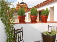 Apartment Patios De La Juderia