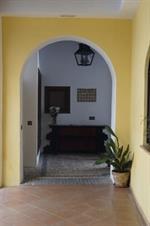 Patios De La Juderia *