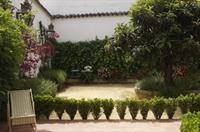Patios De La Juderia Cordoba
